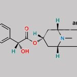 Homatropine CAS#: 87-00-3