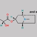 Homatropine Hydrobromide CAS#: 51-56-9