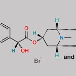Homatropine Hydrobromide EP Impurity A Bromide CAS#: N/A