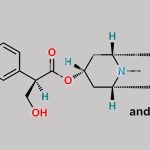 Homatropine Hydrobromide EP Impurity D CAS#: N/A
