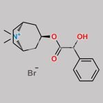 Homatropine Methylbromide CAS#: 80-49-9