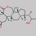 Homobrassinolide CAS#: 74174-44-0