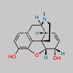 Hydrocodone EP Impurity A CAS#: 57-27-2