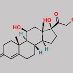 Hydrocortisone CAS#: 50-23-7