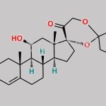 Hydrocortisone 17-21 Orthoester CAS#: 13609-63-7