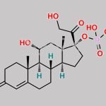 Hydrocortisone 17-phosphate CAS#: 220489-76-9