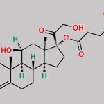 Hydrocortisone 17-Succinate CAS#: 220489-73-6