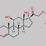 Hydrocortisone-21-Butyrate CAS#: 6677-99-2