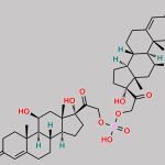Hydrocortisone 21-phosphate Dimer CAS#: N/A