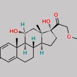 Hydrocortisone Acetate EP Impurity C CAS#: 52-21-1