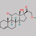 Hydrocortisone Acetate EP Impurity D CAS#: 50-04-4
