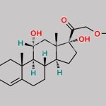 Hydrocortisone Acetate EP Impurity F CAS#: 1250-97-1