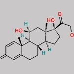 Hydrocortisone EP Impurity A CAS#: 50-24-8