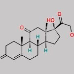 Hydrocortisone EP Impurity B CAS#: 53-06-5