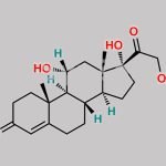 Hydrocortisone EP Impurity M CAS#: 566-35-8