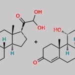 Hydrocortisone Glyoxal Hydrate Isomer 2 CAS#: N/A
