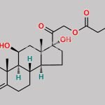 Hydrocortisone Hemisuccinate Sodium salt CAS#: 125-04-2