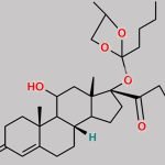 Hydrocortisone Impurity 1 CAS#: N/A