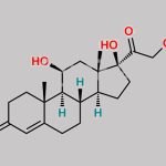 Hydrocortisone Impurity 7 CAS#: N/A