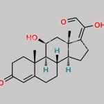 Hydrocortisone Impurity B CAS#: 105562-12-7