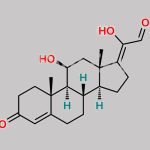 Hydrocortisone Impurity C CAS#: 105562-13-8