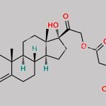 Hydrocortisone Impurity D (Na) CAS#: 70795-33-4