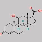 Hydrocortisone Impurity H CAS#: 2394-25-4