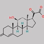 Hydrocortisone Oxo Acetic Acid CAS#: 33762-00-4