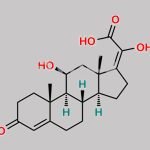 Hydrocortisone Oxo Acetic Acid (E-Isomer) CAS#: N/A