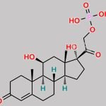 Hydrocortisone Phosphate Triethylamine CAS#: 122764-80-1