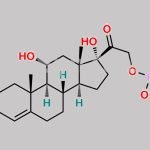 Hydrocortisone Sodium Phosphate CAS#: 6000-74-4