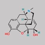 Hydromorphone EP Impurity C CAS#: 57-27-2