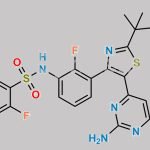 Hydroxy Dabrafenib CAS#: 1195767-77-1