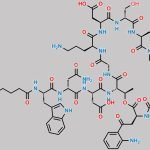 Hydroxy Derivative of Daptomycin CAS#: 921590-20-7