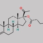 Hydroxyprogesterone Caproate CAS#: 630-56-8