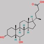 Hyodeoxycholic Acid CAS#: 83-49-8