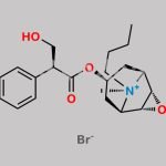 Hyoscine Butylbromide CAS#: 149-64-4