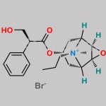Hyoscine Butylbromide EP Impurity D CAS#: N/A