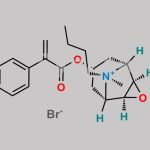 Hyoscine Butylbromide EP Impurity G CAS#: 92714-23-3