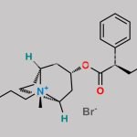 Hyoscine Butylbromide EP Impurity H CAS#: N/A