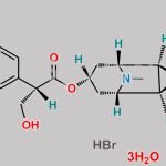 Hyoscine Hydrobromide CAS#: 6533-68-2