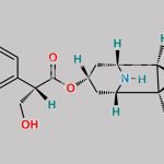 Hyoscine Hydrobromide EP Impurity B CAS#: 4684-28-0