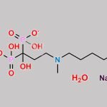 Ibandronate Sodium Monohydrate CAS#: 138926-19-9