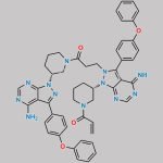 Ibrutinib Dimer-II CAS#: 2540665-98-1
