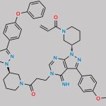 Ibrutinib Dimer Impurity 2 CAS#: 2417548-76-4