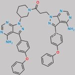 Ibrutinib Impurity 1 CAS#: N/A