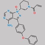 Ibrutinib Impurity 19 CAS#: 2031255-25-9