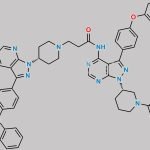 Ibrutinib Impurity 23 CAS#: N/A