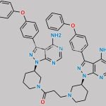 Ibrutinib Impurity 28 CAS#: 1288338-97-5