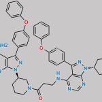 Ibrutinib Impurity 29 CAS#: 2417548-82-2